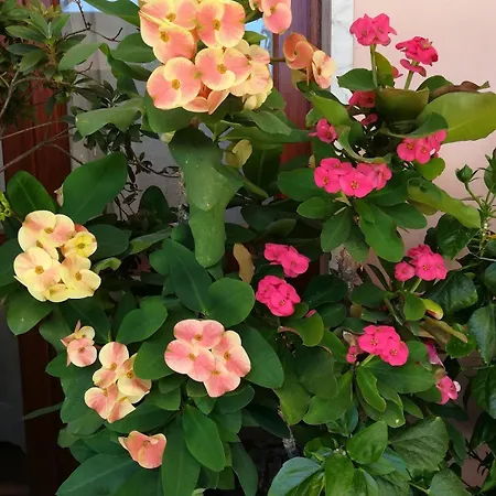 Marelunae Tra Liguria E Toscana Relax Arte Cultura Апартаменты