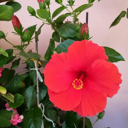 Marelunae Tra Liguria E Toscana Relax Arte Cultura *