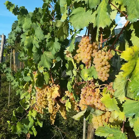 Marelunae Tra Liguria E Toscana Relax Arte Cultura Apartament