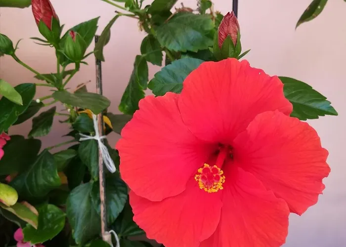 Marelunae Tra Liguria E Toscana Relax Arte Cultura *